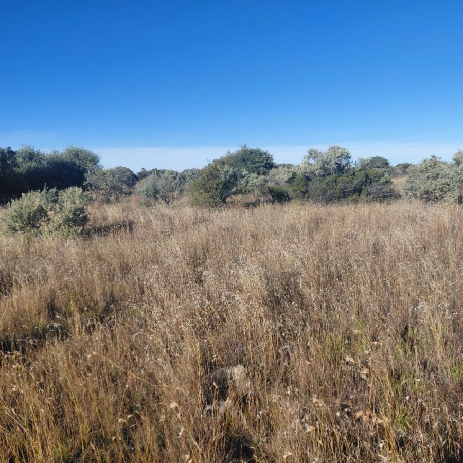 Commercial Property for Sale in Barkly West Rural Northern Cape